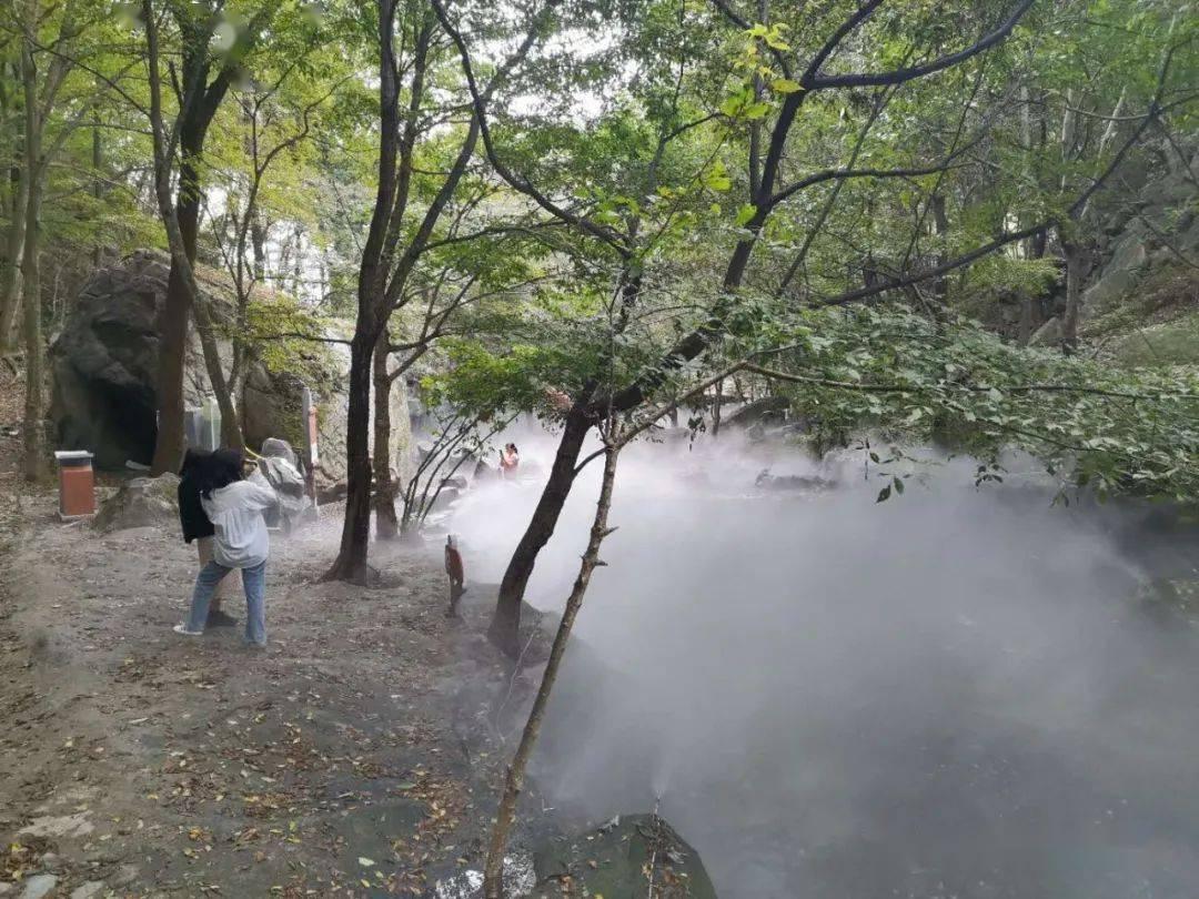 探索如何做到和上级及下属有效沟通红迪网平台-分享交流讨论社区